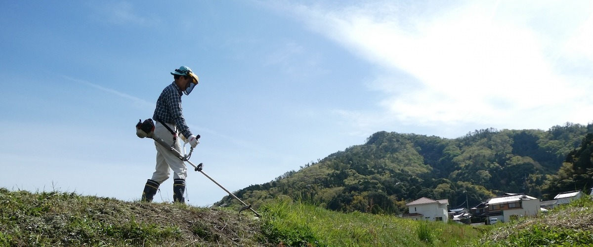 別荘地管理費の仕組みと購入前に知っておきたいポイント