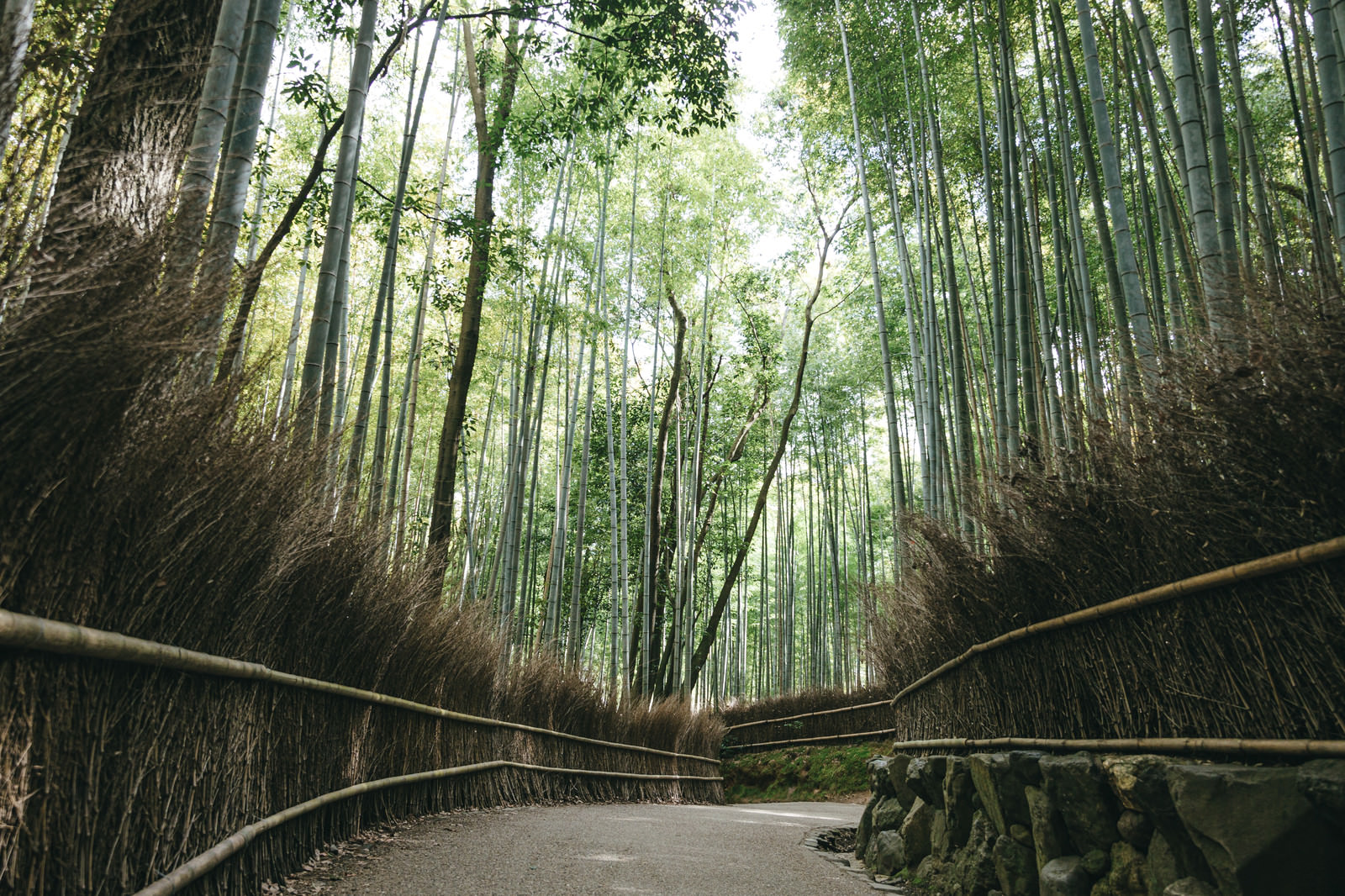 嵐山・嵯峨野